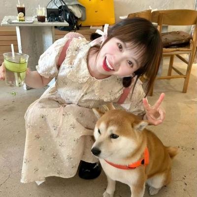 警犬巴打粤语